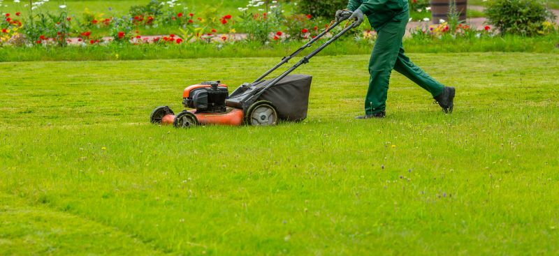 Lawn Mowing