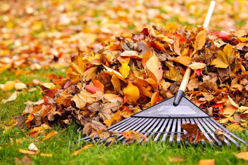 Fall Lawn Care