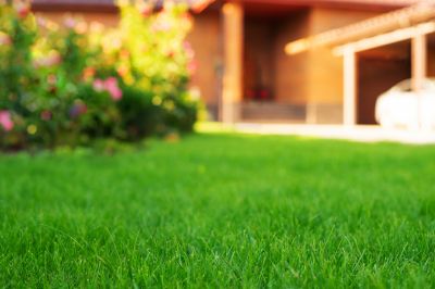 Business Lawn Maintenance detail