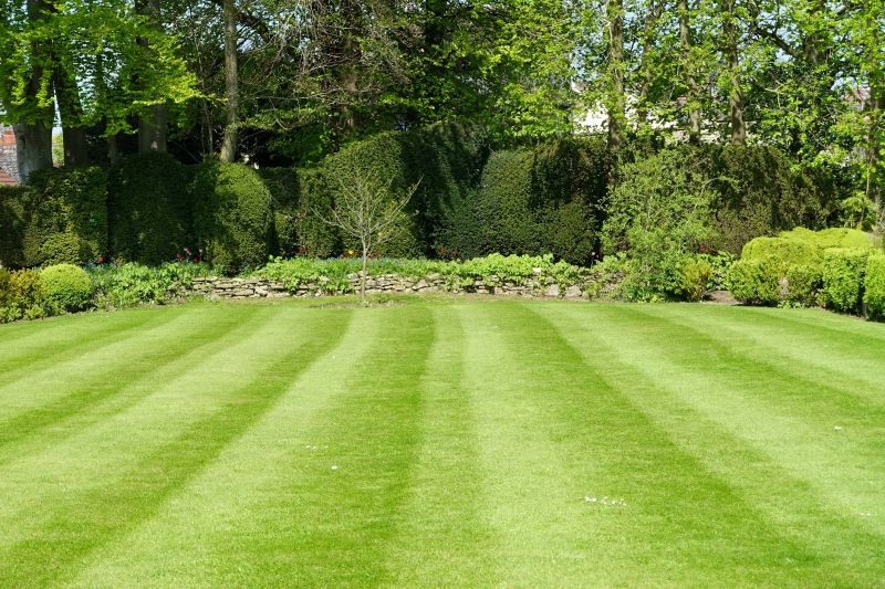 Trimmed Lawn with Edging