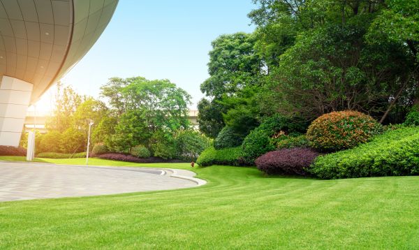 Cost of Commercial Lawn Mowing in Frederick