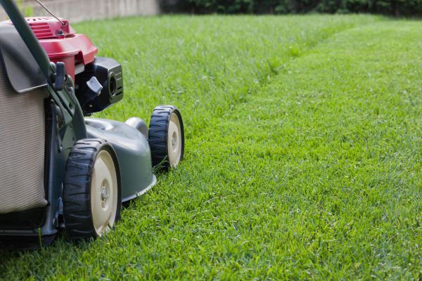 Cost of Lawn Care Service in Frederick