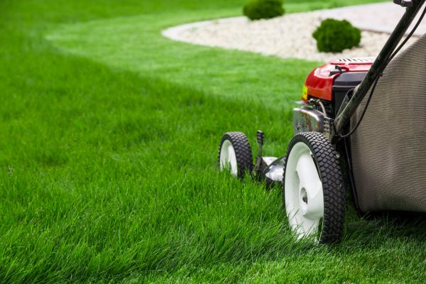 Cost of Lawn Cutting Service in Frederick