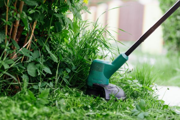 Cost of Weed Whacking in Frederick