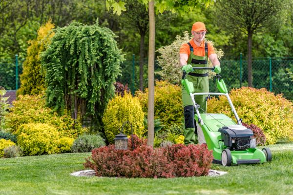 Cost of Yard Service in Frederick