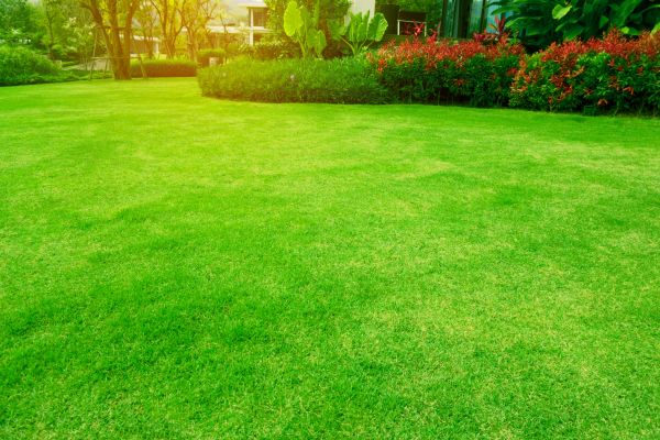 Cost of Grass Maintenance in Frederick