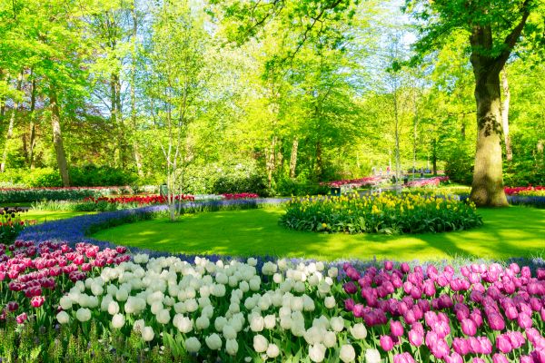 Cost of Spring Lawn Care in Frederick