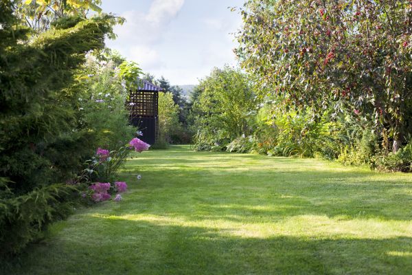 Cost of Yard Upkeep Service in Frederick