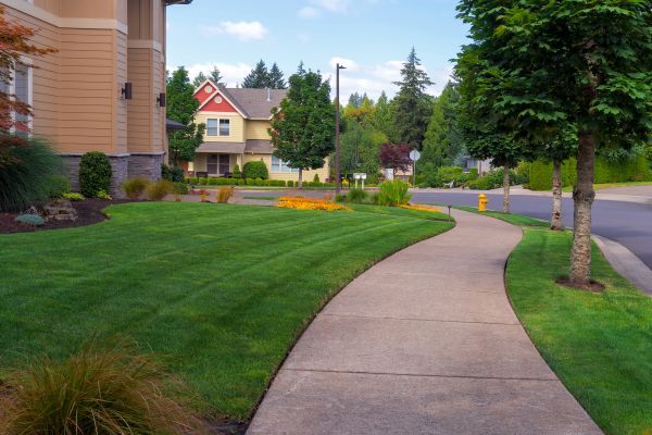Cost of Home Lawn Maintenance in Frederick