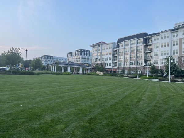 Cost of Urban Lawn Care in Frederick