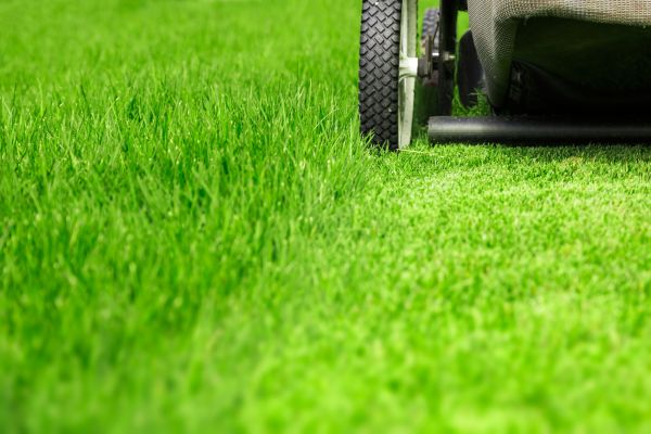 Cost of Weekly Lawn Care in Frederick