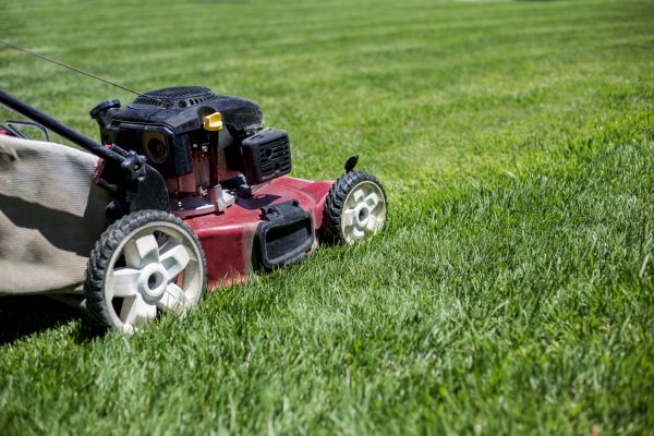 Cost of Routine Lawn Care in Frederick