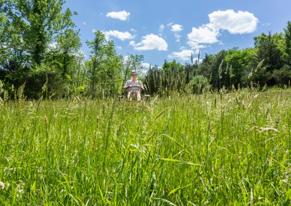 Cost of Long Grass Mowing in Frederick