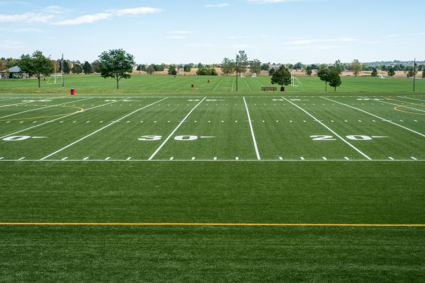 Cost of Groundskeeping Service in Frederick