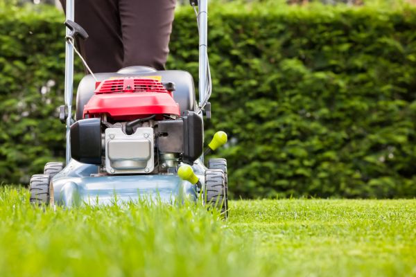 Cost of Grass Trimming Service in Frederick