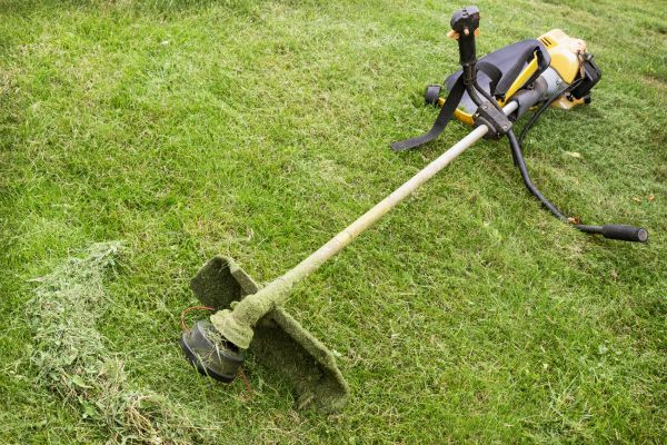Cost of Hillside Weed Whacking in Frederick