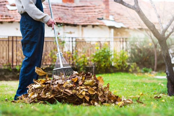 Cost of Routine Lawn Maintenance in Frederick