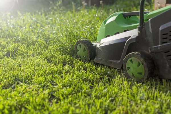 Cost of Lot Mowing in Frederick