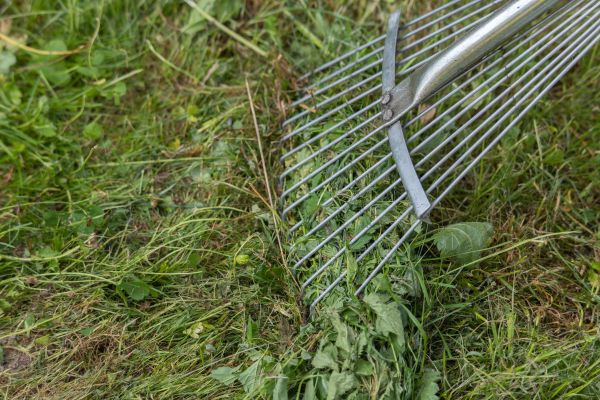 Cost of Thatch Raking in Frederick