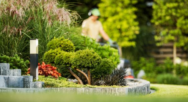 Cost of Residential Yard Maintenance in Frederick