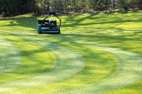 Cost of Business Lawn Mowing in Frederick