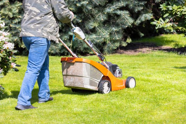 Cost of Springtime Lawn Care in Frederick