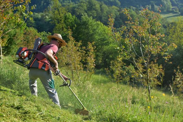 Cost of Slope Mowing in Frederick