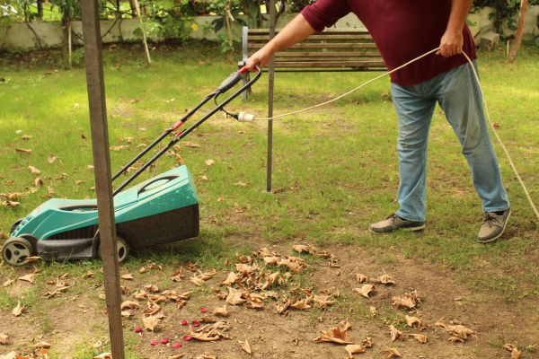Cost of Leaves Mowing in Frederick