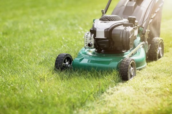 Cost of Spring Grass Trimming in Frederick