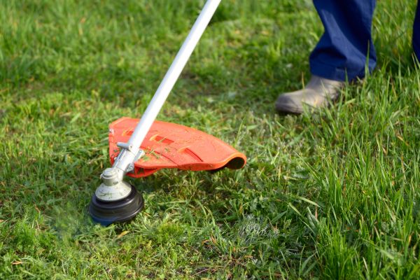 Cost of Lawn Weed Whacking in Frederick