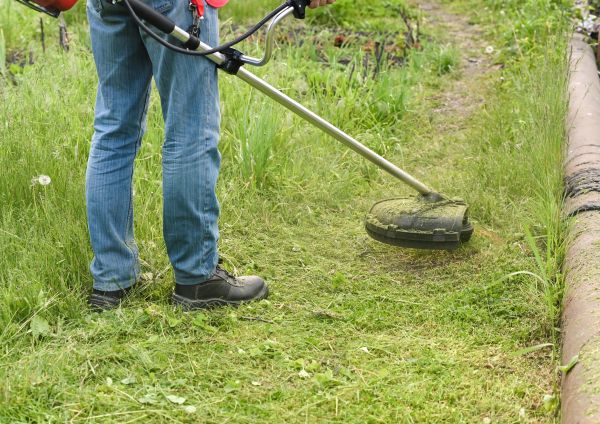 Cost of Tall Grass Trimming in Frederick